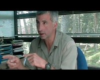 Sylvain Macchi Sylvain Macchi