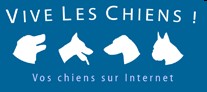 Logo VLC
