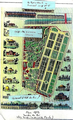 Brochure plan