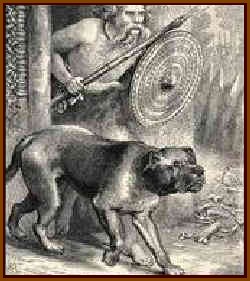 Chien de guerre
