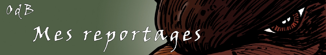 Reportages dans l'Ombre de la B�te