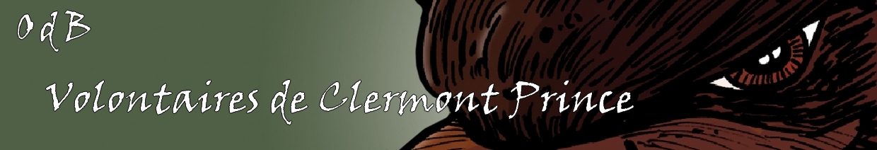 Pr�sentation des volontaires de Clermont-Prince